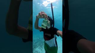 Download lagu DI LAUT KOK ADA INI?? NIAT MENCARI HEWAN LAUT, HANYA KETEMU UANG 21 RIBU (uang siapa ini 🤣) mp3 Download lagu DI LAUT KOK ADA INI?? NIAT MENCARI HEWAN LAUT, HANYA KETEMU UANG 21 RIBU (uang siapa ini 🤣) mp3