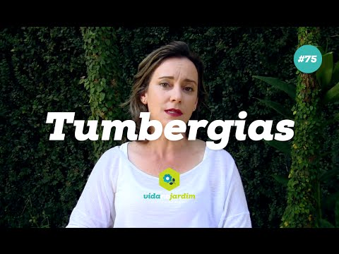 , title : 'Tumbergias'