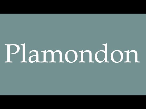 How to Pronounce ''Plamondon'' Correctly in French