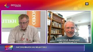 ΛΑΓΟΚΕΦΑΛΟΙ ΚΑΙ ΜΕΔΟΥΣΕΣ_ΔΗΜΗΤΡΗΣ ΒΑΦΕΙΔΗΣ_19 06 2026 ΛΑΓΟΚΕΦΑΛΟΙ ΚΑΙ ΜΕΔΟΥΣΕΣ_ΔΗΜΗΤΡΗΣ ΒΑΦΕΙΔΗΣ_19 06 2026