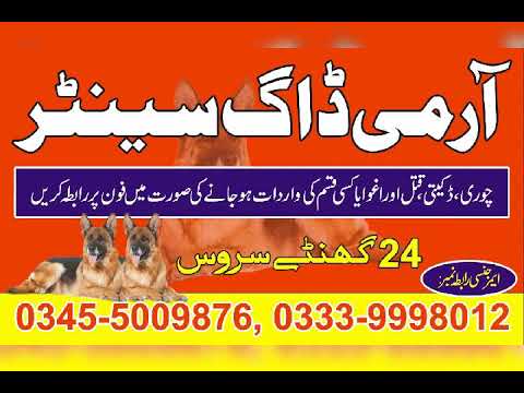 army dog centre RAWALPINDI Fateh Jang Jand Tala gang