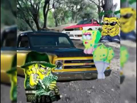 picture Bob Esponja Cholo Hd me encanta bob esponja cholo meme