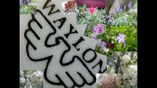 Waylon Jennings Long Way Back Home