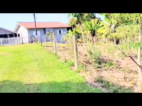 SITIO 26.000m2 CASA BARRACÃO IBAITI PR 385 MIL REAIS (43)998273538