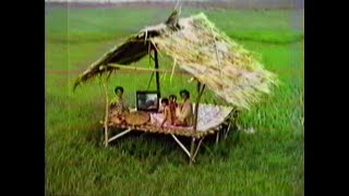 Download lagu Station ID RCTI - Sawah (1994) mp3