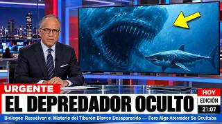 Biólogos Esclarecen la Desaparición del Tiburón Blanco — Pero Algo Aterrador Se Ocultaba