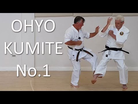 Ohyo Kumite No.1