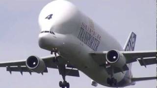 preview picture of video 'Airbus A300B4-600ST The Super Transporter Beluga crosswind landing in Hamburg Finkenwerder Full HD'
