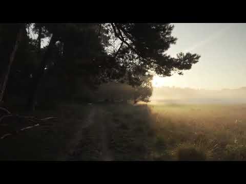 Ben Summers - A Song For Layla Video