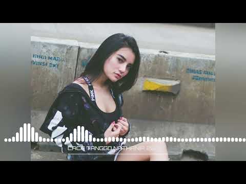 LAGU ACARA‼️CHA CHA TANTA MAIN GANAS ( NATHANIA SOUND ) JeremiTrc - REMIX TERBARU