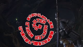【MHW】特産スジタケを探し迷いました　ぐるぐるしてます【モンスターハンターワールド】