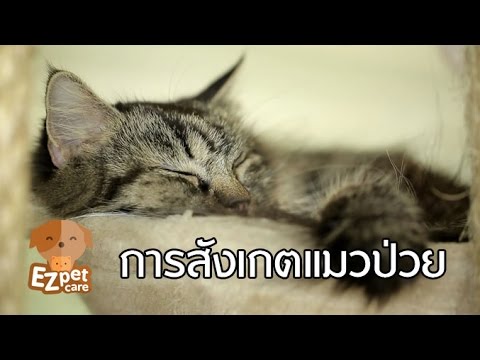 ข้อ จำกัด ของโรคสะเก็ดเงินในอาหาร โรคสะเก็ดเงินรูปภาพบนริมฝีปาก
