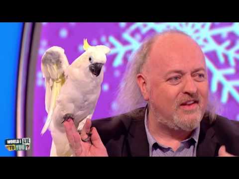 Bill Bailey a papoušek v kině