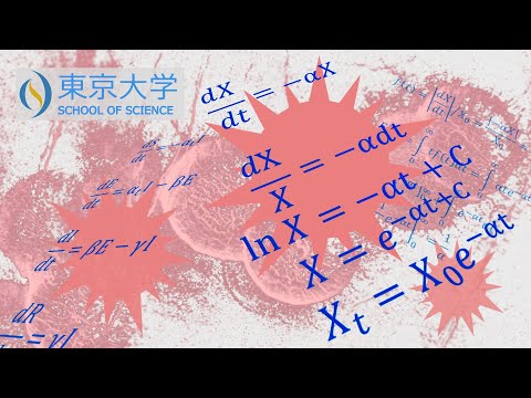 コロナの将来: 研究者は驚くべき数字を予測する