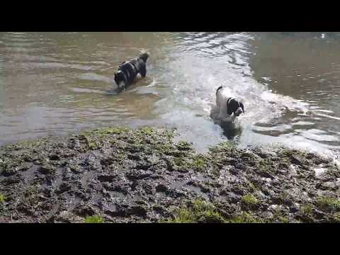 Splashing around in the ford.