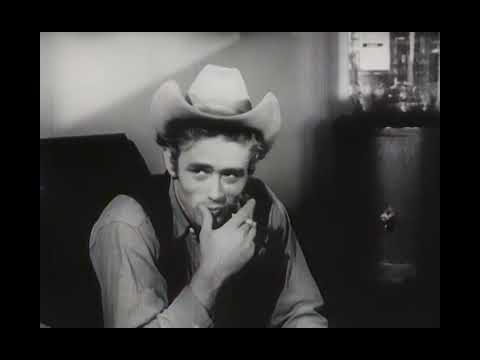 I'm Your Man by Barry Manilow