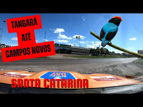 Tangará até Campos Novos em Santa Catarina