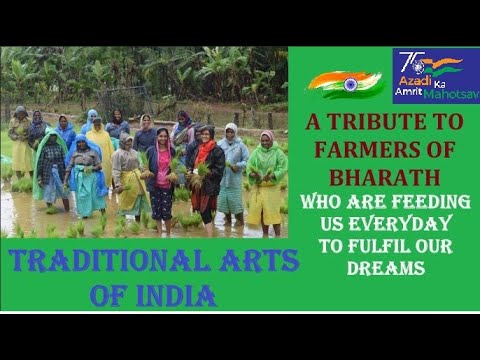 Paddy Nati | Traditional Organic Farming | Folk Songs