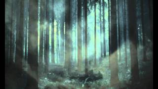 Bat For Lashes  -  A Forest