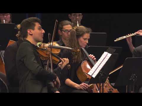 Joseph Haydn: Symphony in D major, no. 6 "Le Matin" 4. Allegro