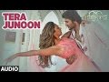 Tera Junoon  Full Audio Song | Machine | Jubin Nautiyal |Mustafa &  Kiara Advani |T-Series