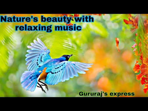 Nature's beauty with relaxing Music @GURURAJENTERTAINMENTCHANNEL