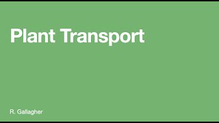 Plant Transport