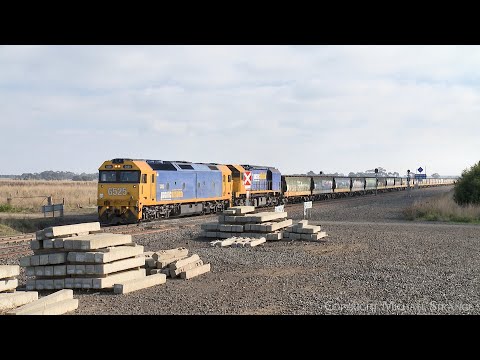 7734V Pacific National Grain Train (22/5/2022) - PoathTV Australian Railways