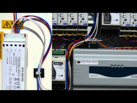 download lagu mp3 mp4 Dali 2.0, download lagu Dali 2.0 gratis, unduh video klip Dali 2.0