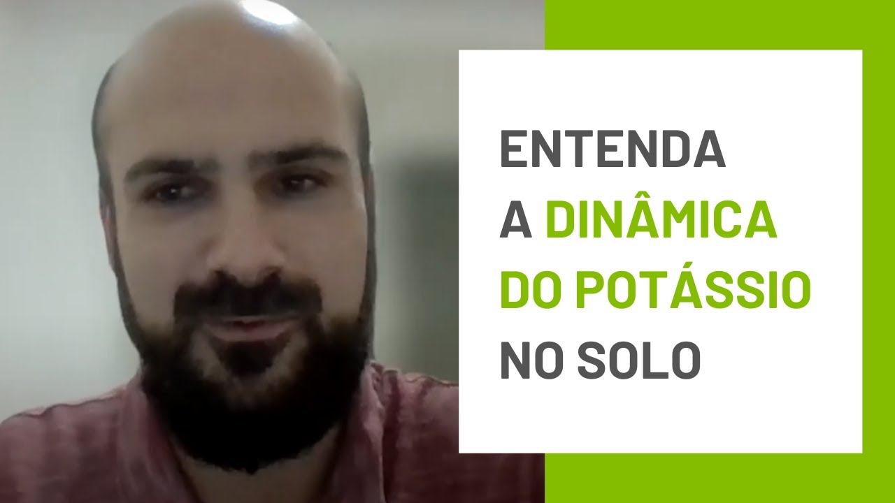 Entenda a dinâmica do potássio no solo