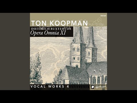 In te, domine, speravi, BuxWV 53