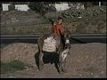Star Newspaper Boy on a Donkey!  - Late 1960s