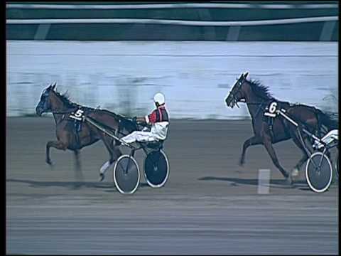 Trotto 04/09/2016 - 3° corsa