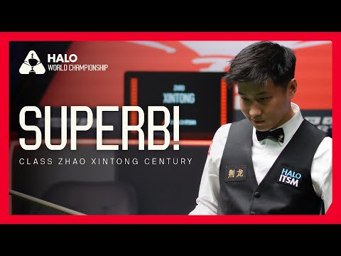 Zhao Xintong — Career Highlights