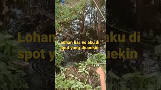Download lagu Mancing ikan Lohan liar di spot yang dicueki orang mp3