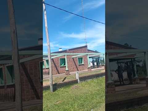 Cerro Chato , videitos  Interior turbo mega profundo , departamento de Paysandú 🇺🇾🇺🇾🇺🇾 .