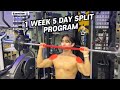 1 Week 5 Day Workout Split Build Muscle The Right Way Weeklyworkout Fitnesstips Workout