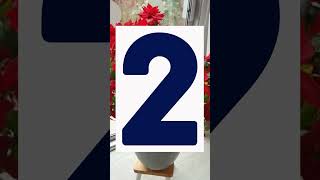 5 CUIDADOS FUNDAMENTALES DE LA NOCHEBUENA, FLOR DE PASCUA O POINSETTIA PARA ESTA NAVIDAD