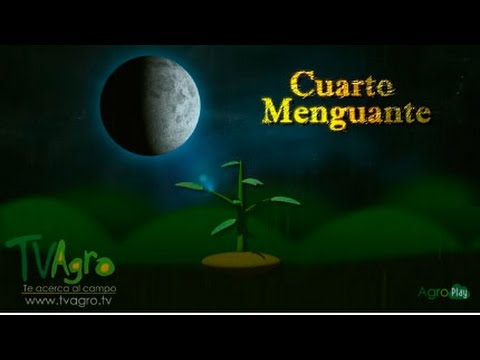 , title : 'Fases de la luna en la agricultura - TvAgro por Juan Gonzalo Angel'