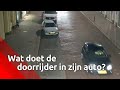 Wat doet de doorrijder van Den Bosch?