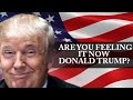 ARE YOU FEELING IT NOW DONALD TRUMP