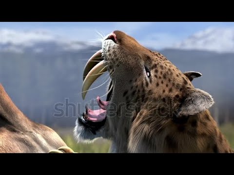 Saber-toothed Cats hunting and attack horse video