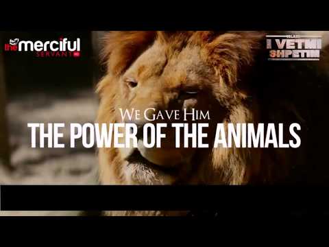 Mbretëria&Pushteti i Sulejmanit a.s dhe shpifja ndaj tij-{KINGDOM OF SULAIMAN}