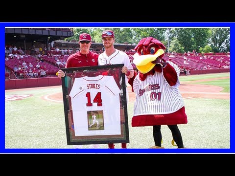 Breaking News | Madison Stokes leading South Carolina Gamecocks baseball in final season