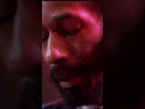 Herbie Hancock, Ron Carter, and Billy Cobham live in 1983 #herbiehancock #roncarter #billycobham