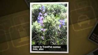 preview picture of video 'Gold Miners and Mountain Men Linda_allen's photos around Pinedale, United States (travel pics)'