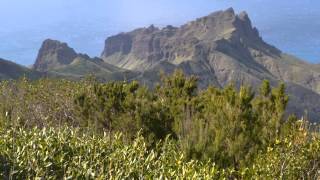 Distancia, Los Sabandeños con Alberto Cortez