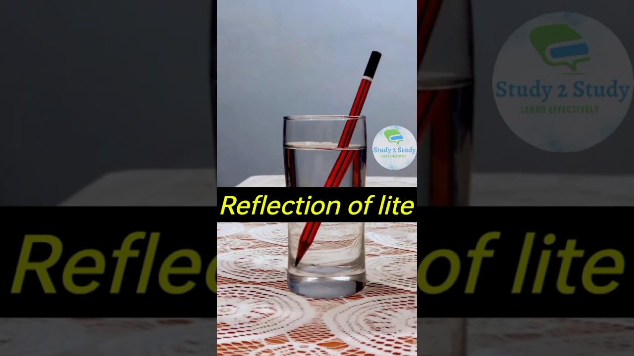 Exploring the Magic of Light Refraction  - 