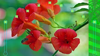 Barclay James Harvest - Spud U Like