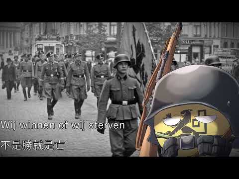 Stormvogels - 風暴鳥